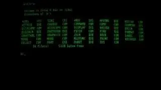 Virus.Boot.Brain (First IBM PC Virus, 20,000 subscriber special)