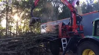 chippen in de Biesbosch door VGR