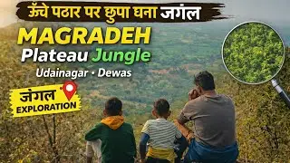 Magradeh Jungle Explore | Dense forest situated on the plateau | Udainagar, Dewas 🌳⛰️