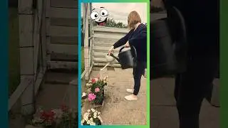 Funny Video 😂🤣 The Funniest Plant Care Ever #Shorts