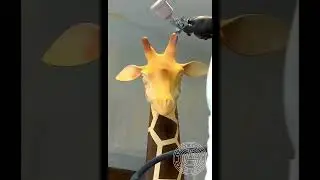 Wow😮😯🍫🦒 #shorts #creativity #chocolate #giraffe #chocolategiraffe #bakingadream #explore #viral #yum