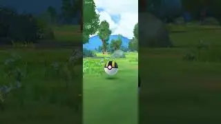 skiddo shiny en Pok&eacute;mon GO