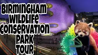 Birmingham wildlife conservation park tour  2025