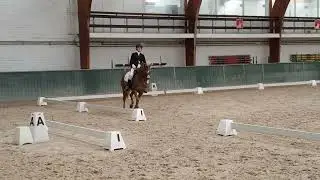 Dressuur Bioux (D-pony)