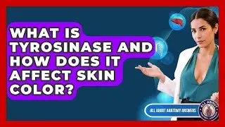 What Is Tyrosinase And How Does It Affect Skin Color? - All About Anatomy Answers