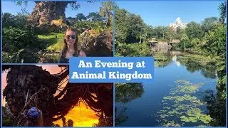 An Evening at Disney's Animal Kingdom  l  aclaireytale  l  Walt Disney World Vlogs April 2019