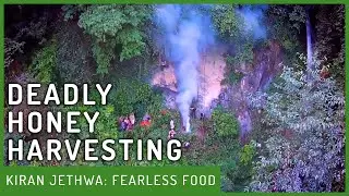 The MOST Dangerous Way Of Harvesting Honey | Fearless Food | Kiran Jethwa