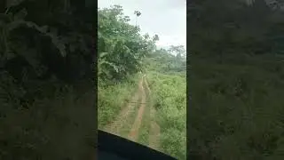 north east village road#transportation #naturelovers #jungalmainmungal
