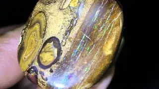 opal 040