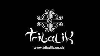 10th Anniversary Interview Tribalik