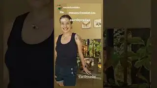 Open Studio with Cedar Lee at Mauser Ecohouse in Costa Rica | Artist Residency Exhibit January 2024