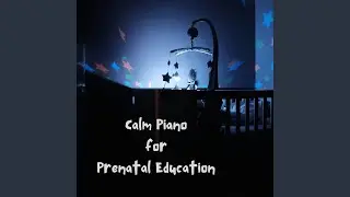 Calm Beginnings