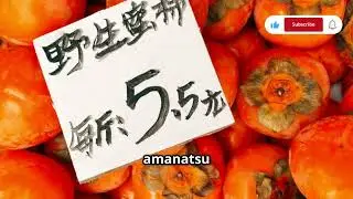 Discovering Amanatsu: Japan&rsquo;s Sweet & Tangy Citrus Fruit! 🍊🇯🇵