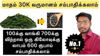 மிளகு தொழிலில் மாதம் 30K சம்பாதிக்கலாம் #blackpepperrelatedvideos @easywaytobusiness 