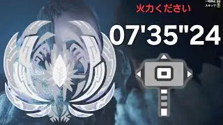 【MHWilds】ゾ・シア ハンマーソロ 07'35