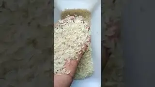 IR64 Finest Parboiled Rice #export #food #agriculture #farming #importexporttrade