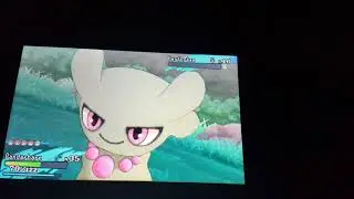 Feufor&ecirc;ve shiny