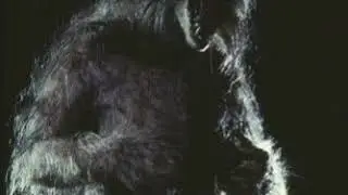 Bad Moon Werewolf roars