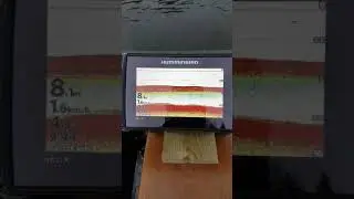 Bug helix 7 g2 si