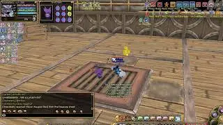 Insanity Flyff LIVE Boss HUNTING Game play 2020
