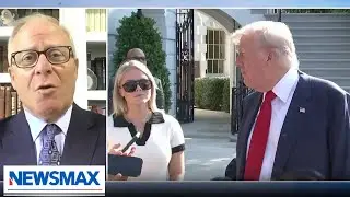 Former Epstein lawyer: There's no there-there for Trump | Carl Higbie FRONTLINE