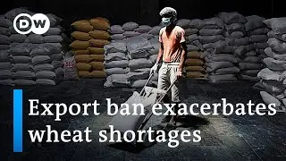 Heat waves push India to ban export of wheat | DW News