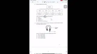 [Primary 3 Science Past Year Exam Paper 2019 SA2]- P3 Science Anglo Chinese (ACS) Primary