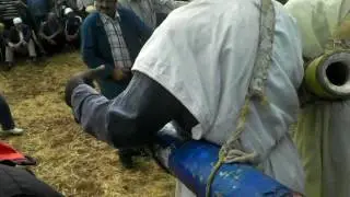وعدة بني ورنيد 2016