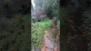 #niesamowity #niezwykły
