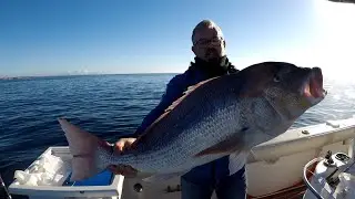 BURBURIN dentones XXL