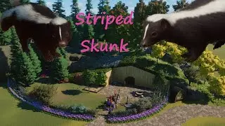 Striped Skunk Home - The Magical Forest - Planet Zoo