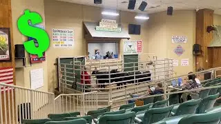 Selling the Culls