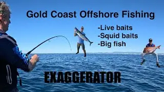 Unstoppable - Gold Coast Offshore Fishing #fishing #fish #boating #shorts