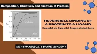 Reversible Binding of a Protein to a Ligand II Hemoglobin's Sigmoidal Oxygen-binding Curve