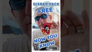 How I Got a Free Disney Souvenir With My Ticket