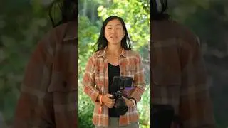 Professional Photographer&rsquo;s Hybrid Shooting Kit #photography