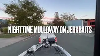 Live Sonar | Mulloway on Jerkbaits