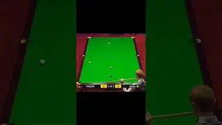 McGill Unbelievable Escape Plus Snook