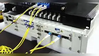 100Ghz 1 x 8 DWDM Mux Demux Modules With LC / APC connector