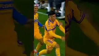 Jornada 12 de Liga Mx, golazo de Juan Brunetta para el empate Tigres 1-1 Cruz Azul.
