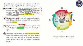 Grade 10 Biology Chapter 5 Part 15