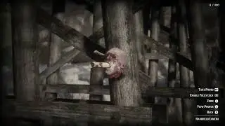 Rdr2 Serial Killer victim