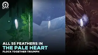 All 55 Feathers of Light in The Pale Heart (Flock Together Triumph) [Destiny 2]
