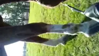 V111010 15 240001