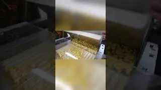 Automatic Almond Slicing Cutting Machine Almond Strip Cutter