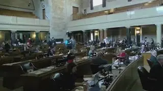 Nebraska Bans Dismemberment Abortion