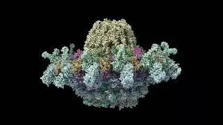 T4SS IcmX Plug Secretion 10 pm/ps Simulation Side View