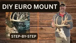 Clean, White, and Simple | DIY Euro Mount Deer Skull (Step-by-Step)