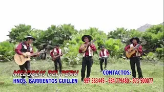 VENGO A CONTARTE ♦ HNOS. BARRIENTOS GUILLEN ♦ TORIL - PRIMICIA 2017 (Vídeo Oficial)