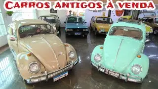 OLHA S&Oacute; TODOS &Agrave; VENDA FUSCAS E OUTROS CARROS ANTIGOS GARAGEM DO BABA2 #classiccars #aircooled #fusca